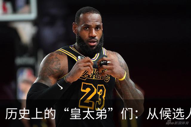 历史上的“皇太弟”们：从候选人到登基的奇妙旅程